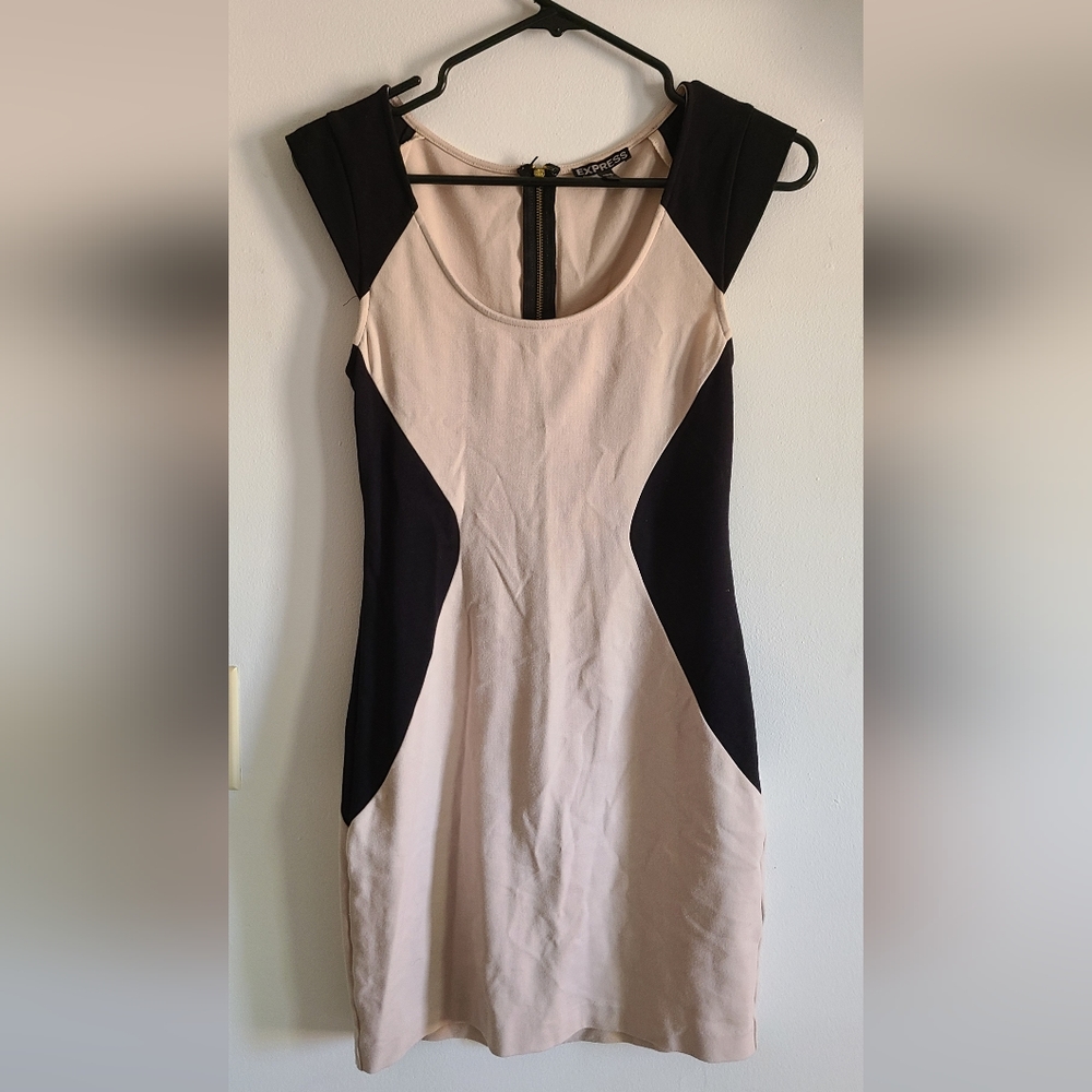 Express Women's Dress